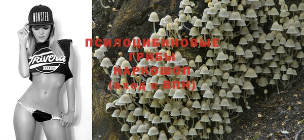 индика Елизово