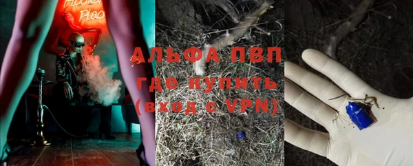 спиды Армянск