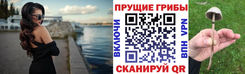 наркотики  Михайловск  omg онион  Галлюциногенные грибы GOLDEN TEACHER 